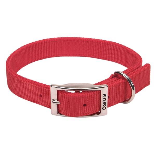 nylon dog collar with metal buckle