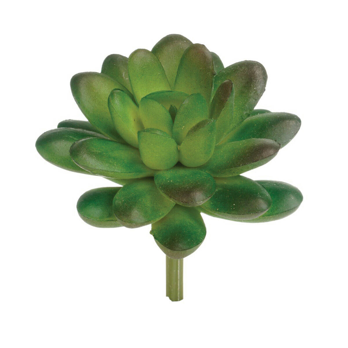 MARSHALL Home & Garden HZ74 Artificial Succulent Plant at Sutherlands