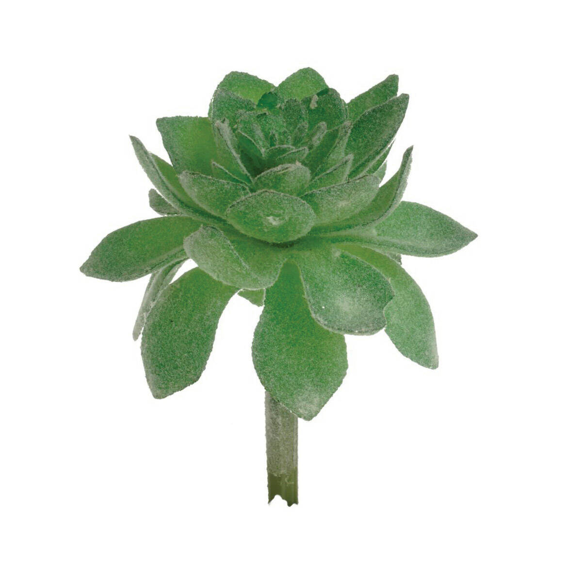 MARSHALL Home & Garden HZ77 Artificial Succulent Plant at Sutherlands
