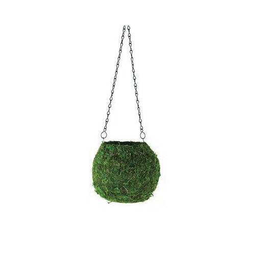 Syndicate Home & Garden 129106070 Green Moss Bella Moss Hanging