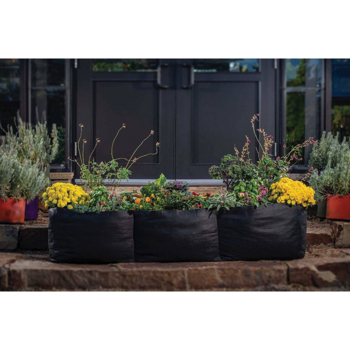 Smart Pot 12312 12Foot Natural MultiPurpose Smart Pot Planter at