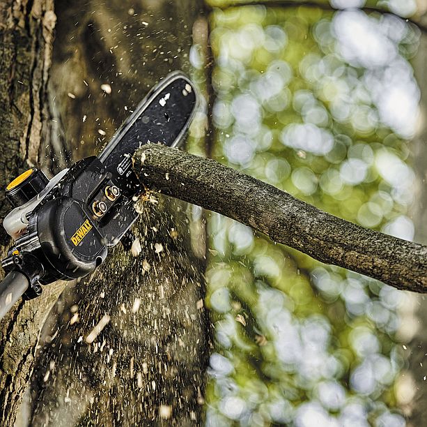 Gas Pole Saw With Attachment Capability 