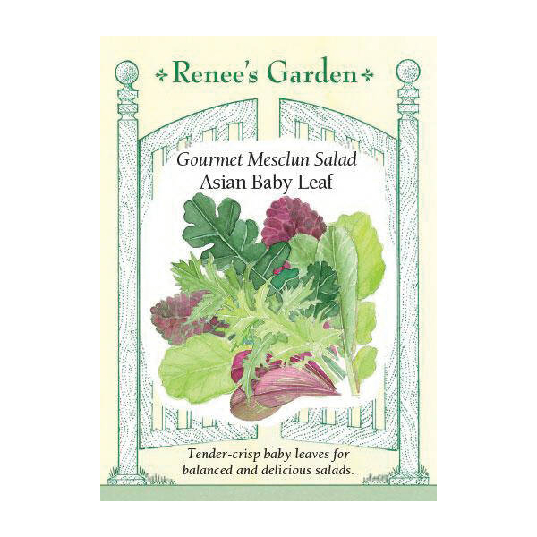 Renee's Garden 5846 Asian Baby Leaf Vegetable Seed Pack at Sutherlands