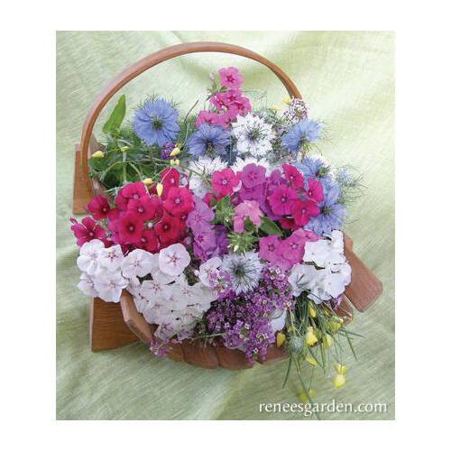 Renee's Garden 5441 Fairy Garden Mix Flower Seed 2.3Gram Pack at