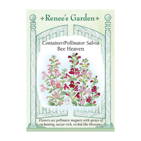 Renee's Garden 5438 Renee's Garden 5438 Flower Seed, Container