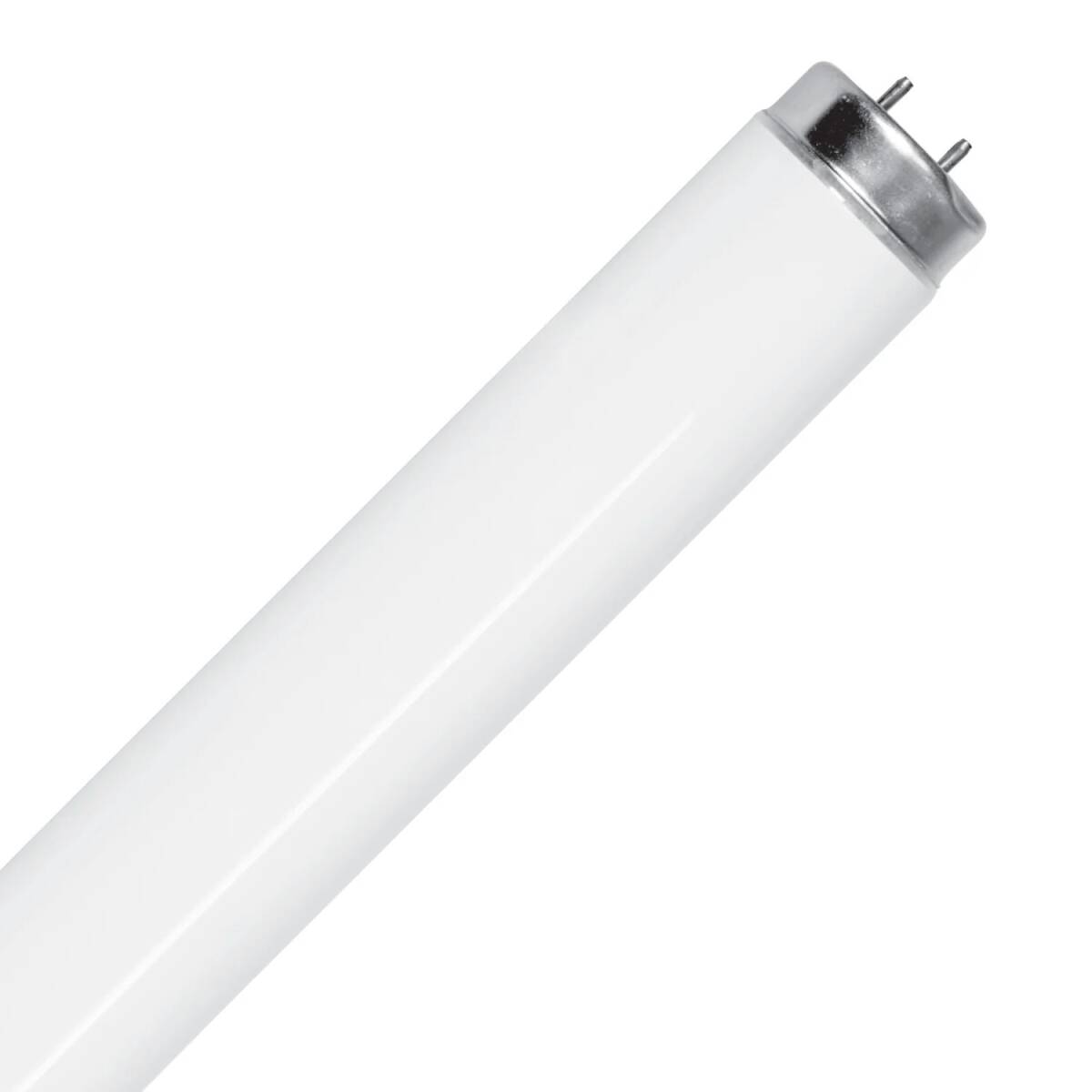 Feit Electric F40CWX/2 40-Watt T12 G13-Bi Pin Cool White Fluorescent ...