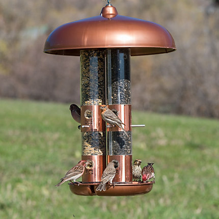 Perky-Pet 7103-2 Copper Finish Triple Tube Bird Feeder, 10-Pound Seed ...