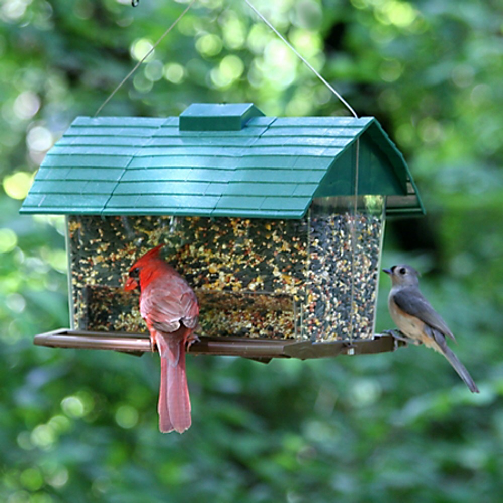 PerkyPet 309 Seed Barn Bird Feeder at Sutherlands