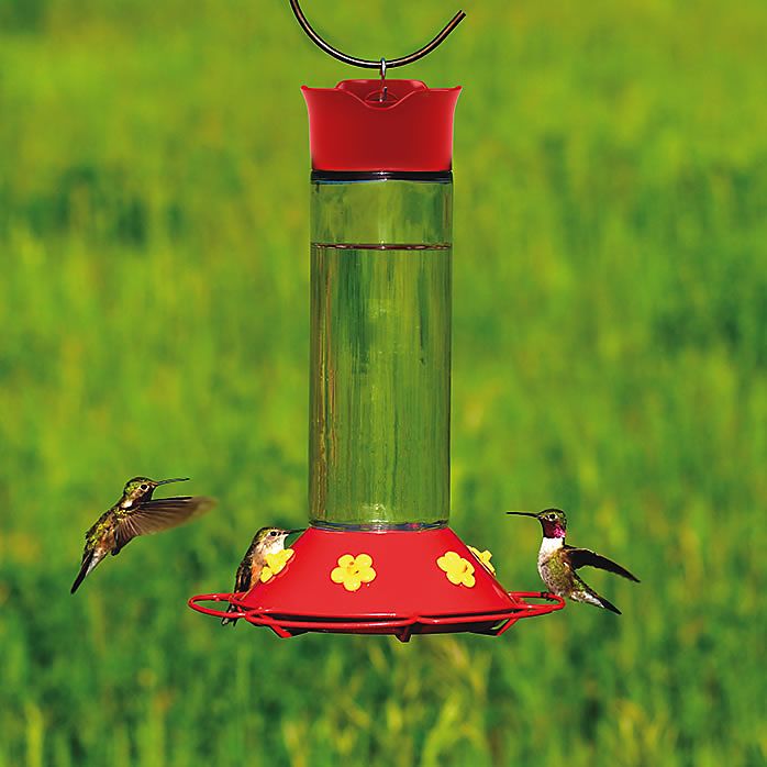 Perky-Pet 209B 30-Ounce Glass Hummingbird Feeder at Sutherlands