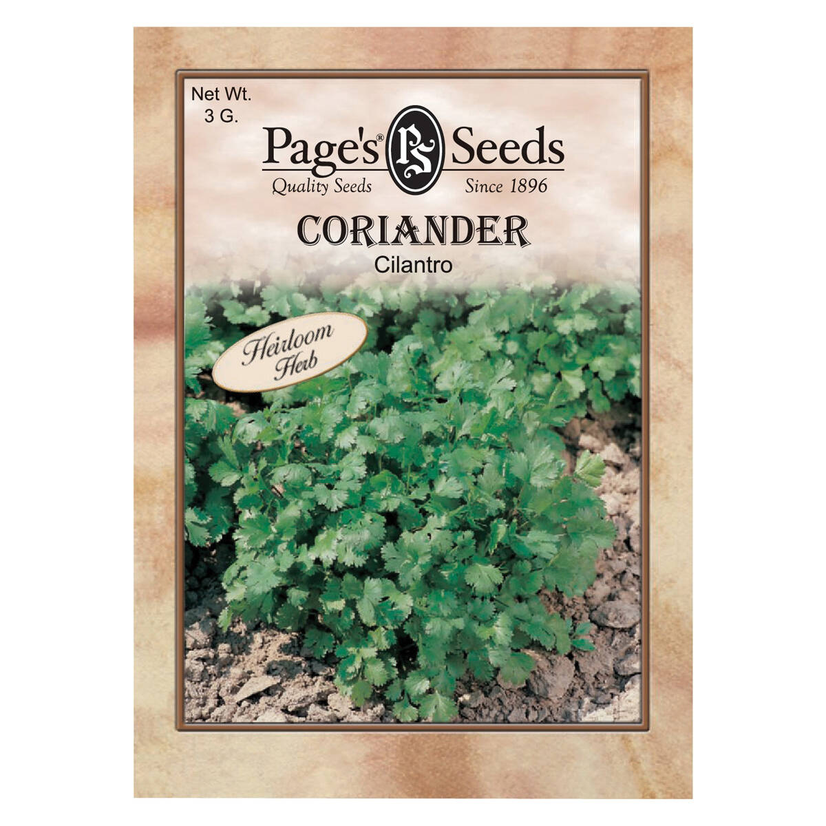 Page's Seeds LG382 