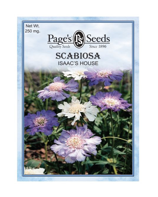 Page's Seeds P861 