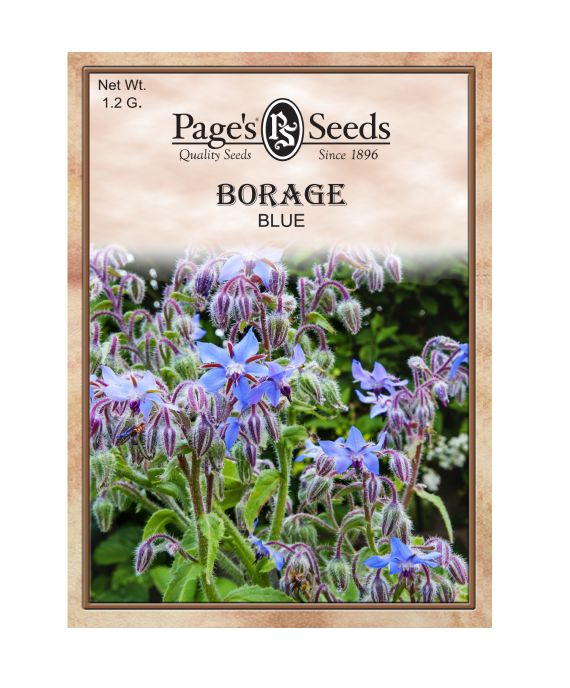 Page's Seeds P367 