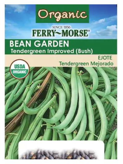 Plantation Products 1515 Organic Bean Tendergreen Improved Bush Seed at ...