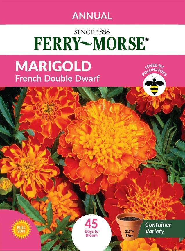 Ferry Morse Z6020 Marigold French Double Dwarf at Sutherlands