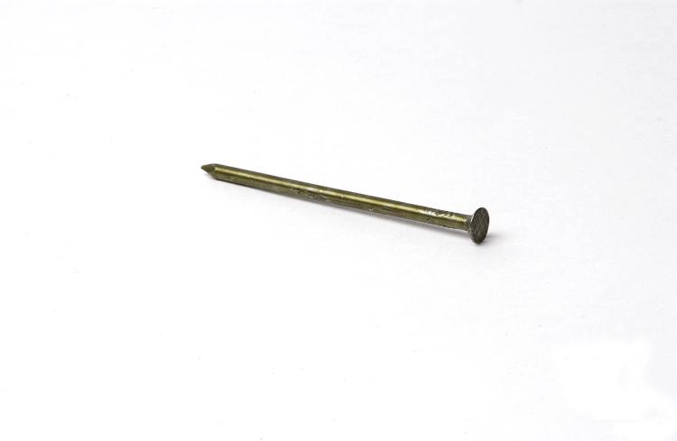 FASCO Stainless Steel Common Nails, 12d, 3-1/4-in Length, Exterior Use,  Smooth Shank, Round Head in the Specialty Nails department at Lowes.com