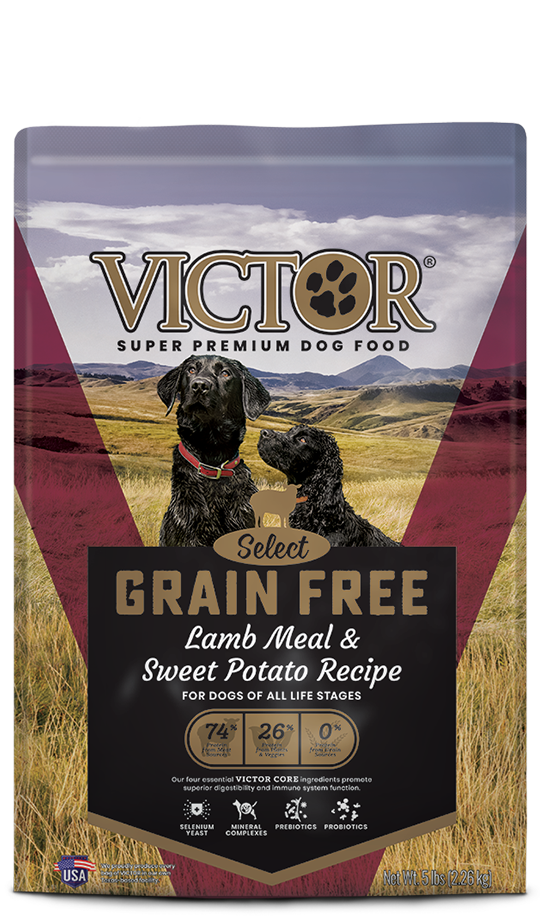 grain free dog food for allergies