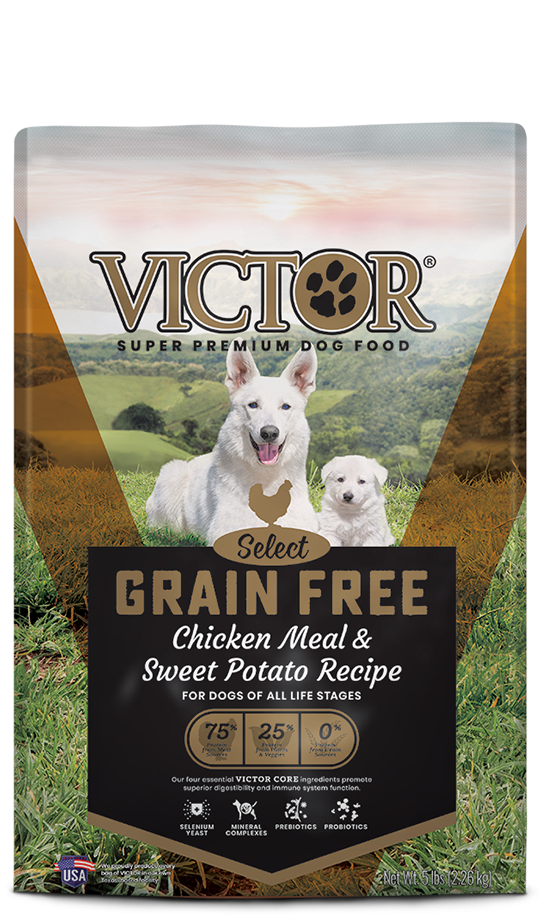 Victor Pet Food 5054 5-Pound Grain Free Chicken Meal And Sweet Potato ...