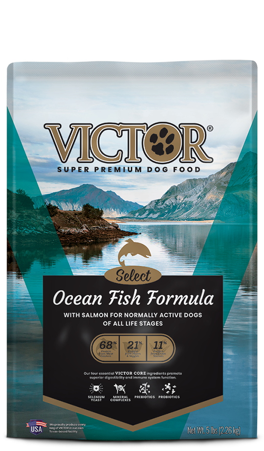 Fish based dog food brands hotsell