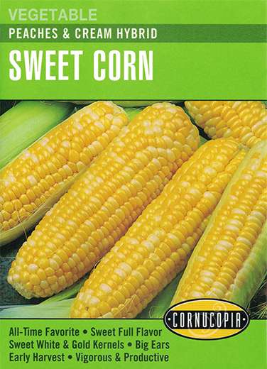 Cornucopia Garden Seeds 292 Peaches And Cream Hybrid Sweet Corn Seeds ...