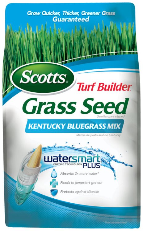 Scotts 18266 Turf Builder Grass Seed Kentucky Bluegrass 3lb at Sutherlands