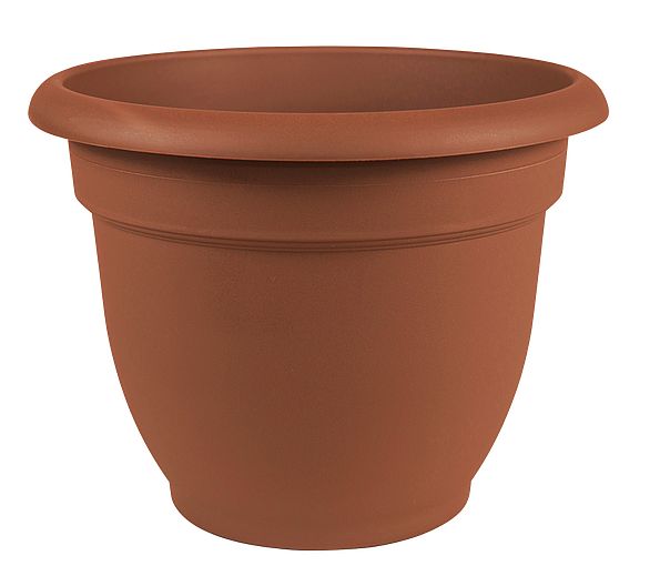 Bloem® AP1247 12-Inch Terra Cotta Ariana Planter At Sutherlands