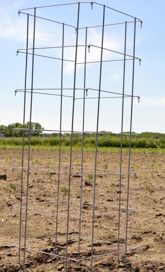 Midwest Wire Works 8580XX 58Inch 8 Leg Square Galvanized Steel Heavy Duty Tomato Cage at