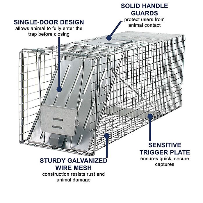 Havahart 1079 Large 1-Door Humane Animal Trap for Raccoons, Cats