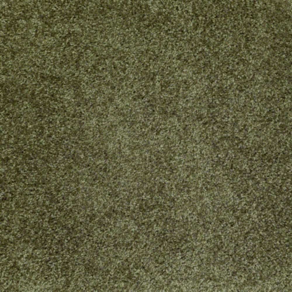 Shaw E0121301 Dreamin' Central Park Carpet Per Sq. Ft. at Sutherlands