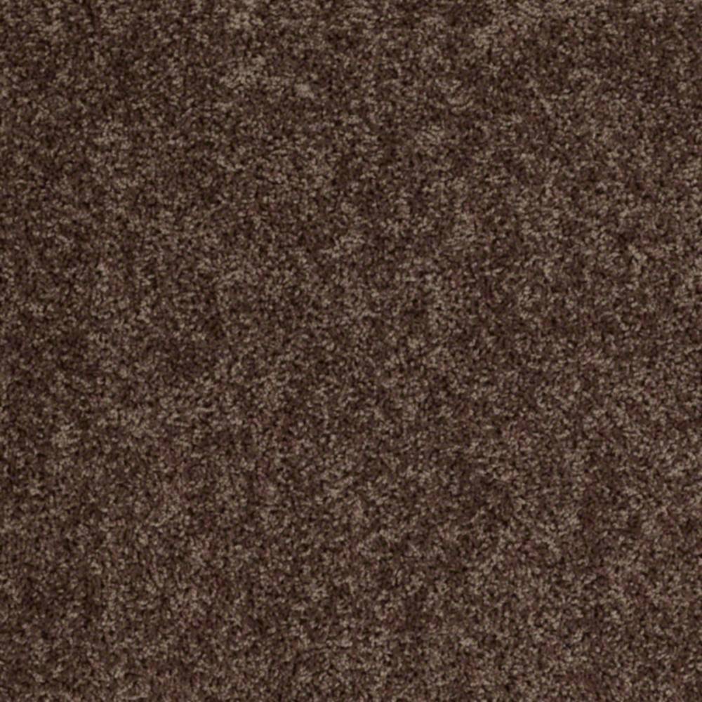 Shaw E0475704 Ride It Out Nutshell Carpet Per Sq. Ft. at Sutherlands