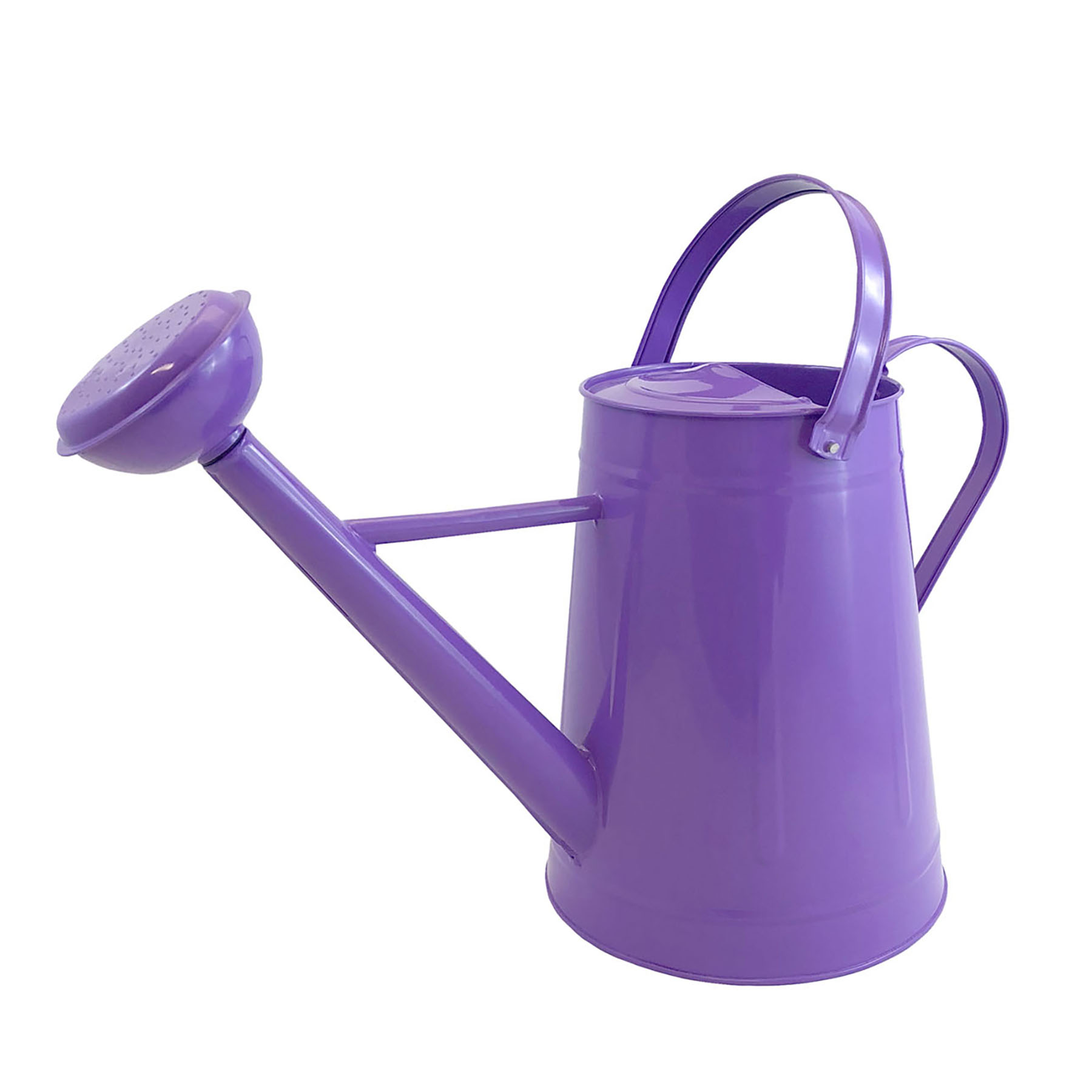 TIERRA garden 365081V 2.1Gallon Violet Metal Watering Can at Sutherlands