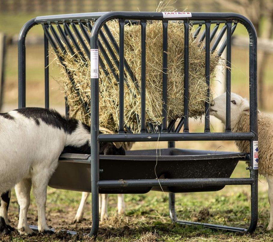Tarter AHGF Adjustable Hay And Grain Feeder at Sutherlands