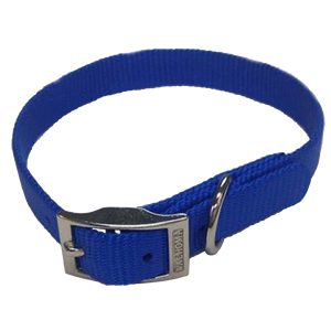 blue puppy collar