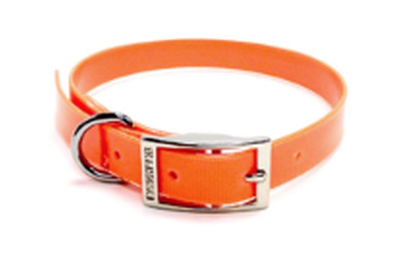 1 Inch X 24 Inch Hot Orange Plastic Hunting Dog Collar