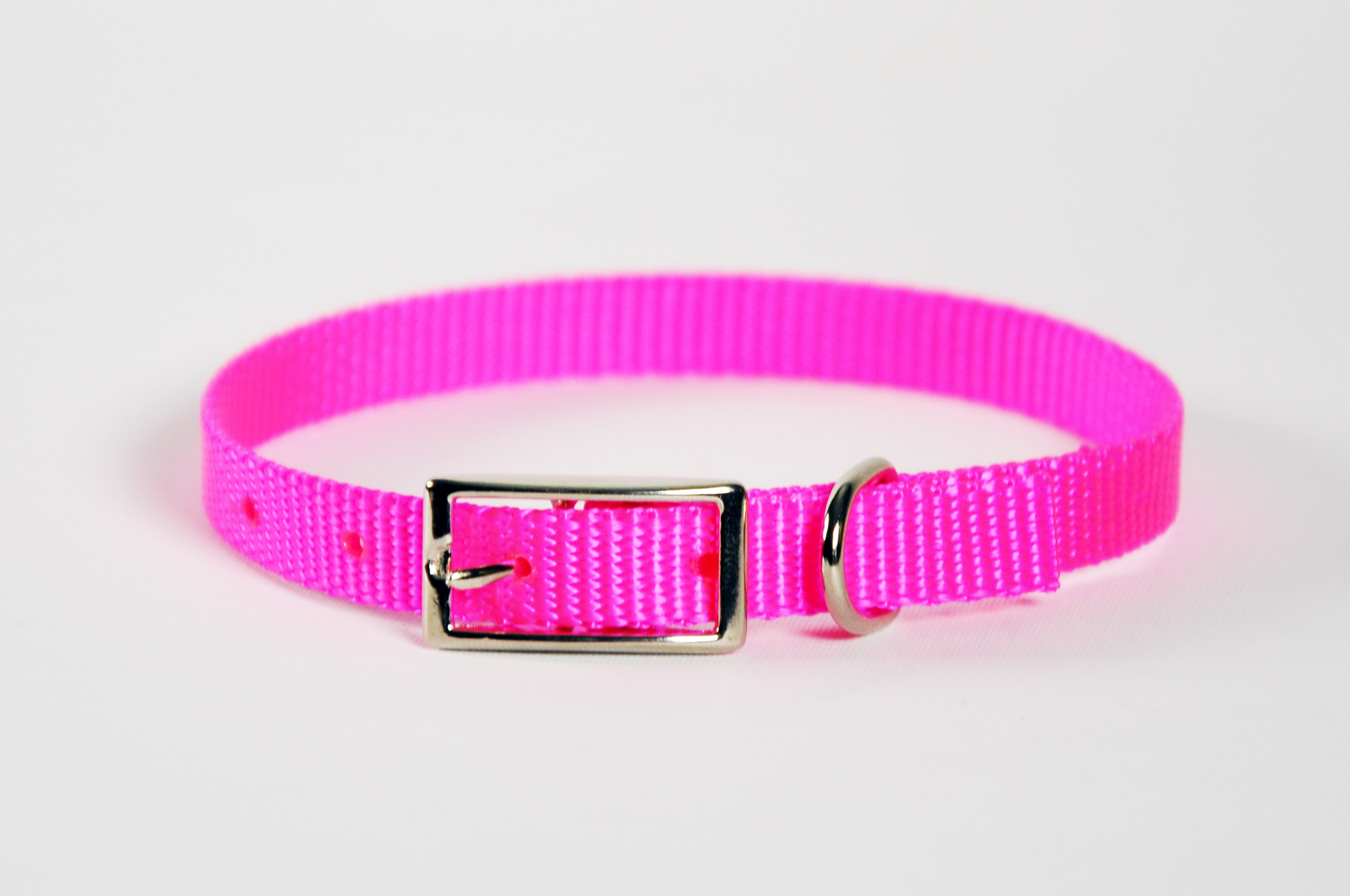 pink puppy collar