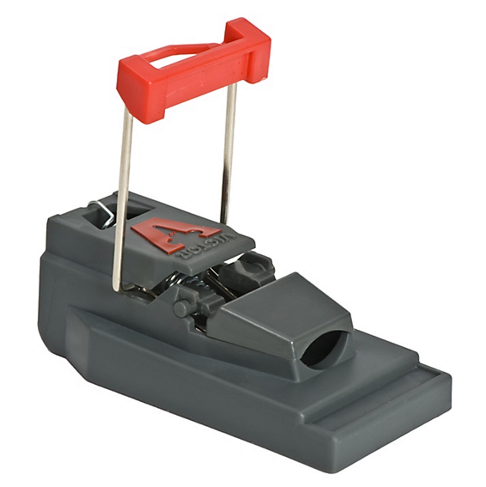 Victor M140C Mouse Trap 2 Pack at Sutherlands