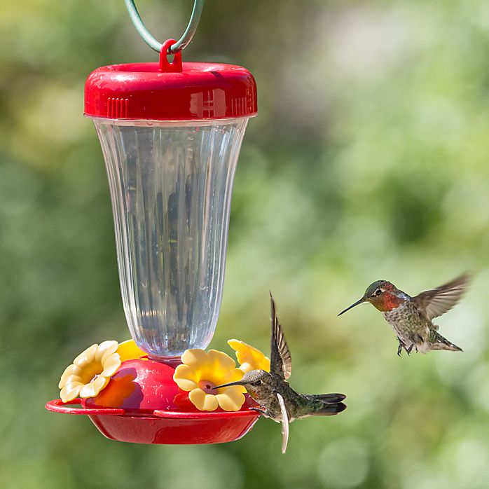Perky Pet 136tf Yellow Flower Top Fill Plastic Hummingbird Feeder