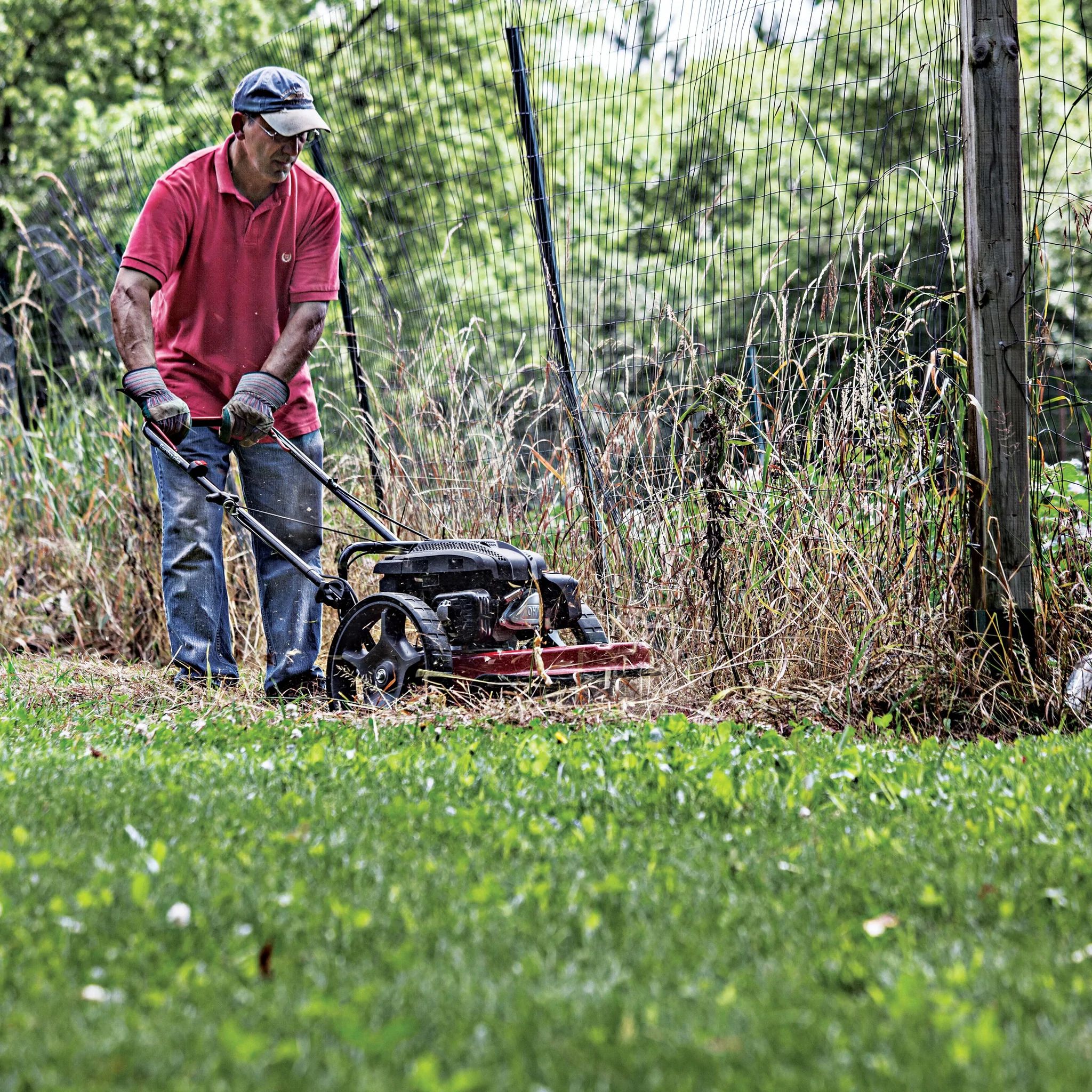 Earthquake® 40314 Walk Behind String Mower at Sutherlands