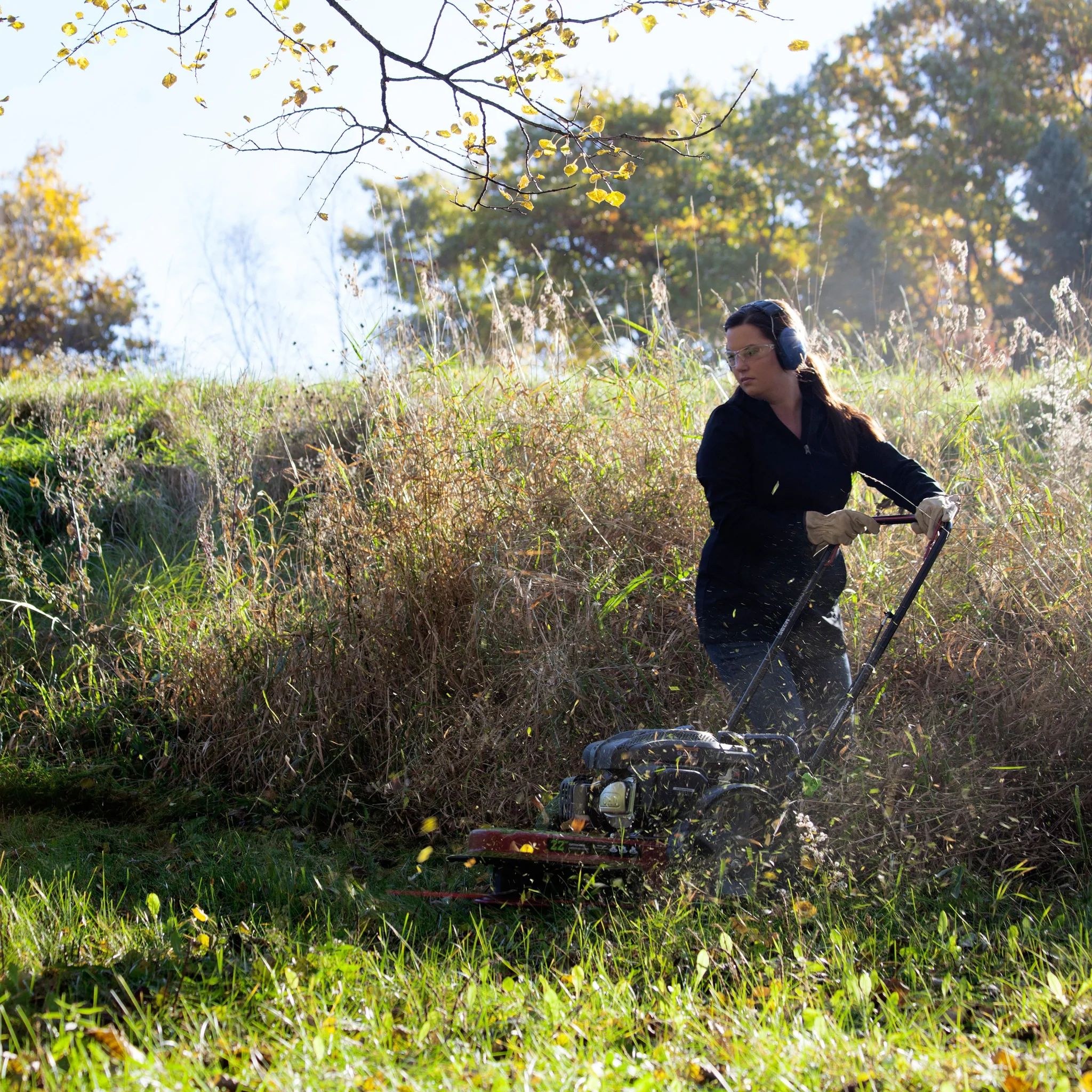 Earthquake® 40314 Walk Behind String Mower at Sutherlands