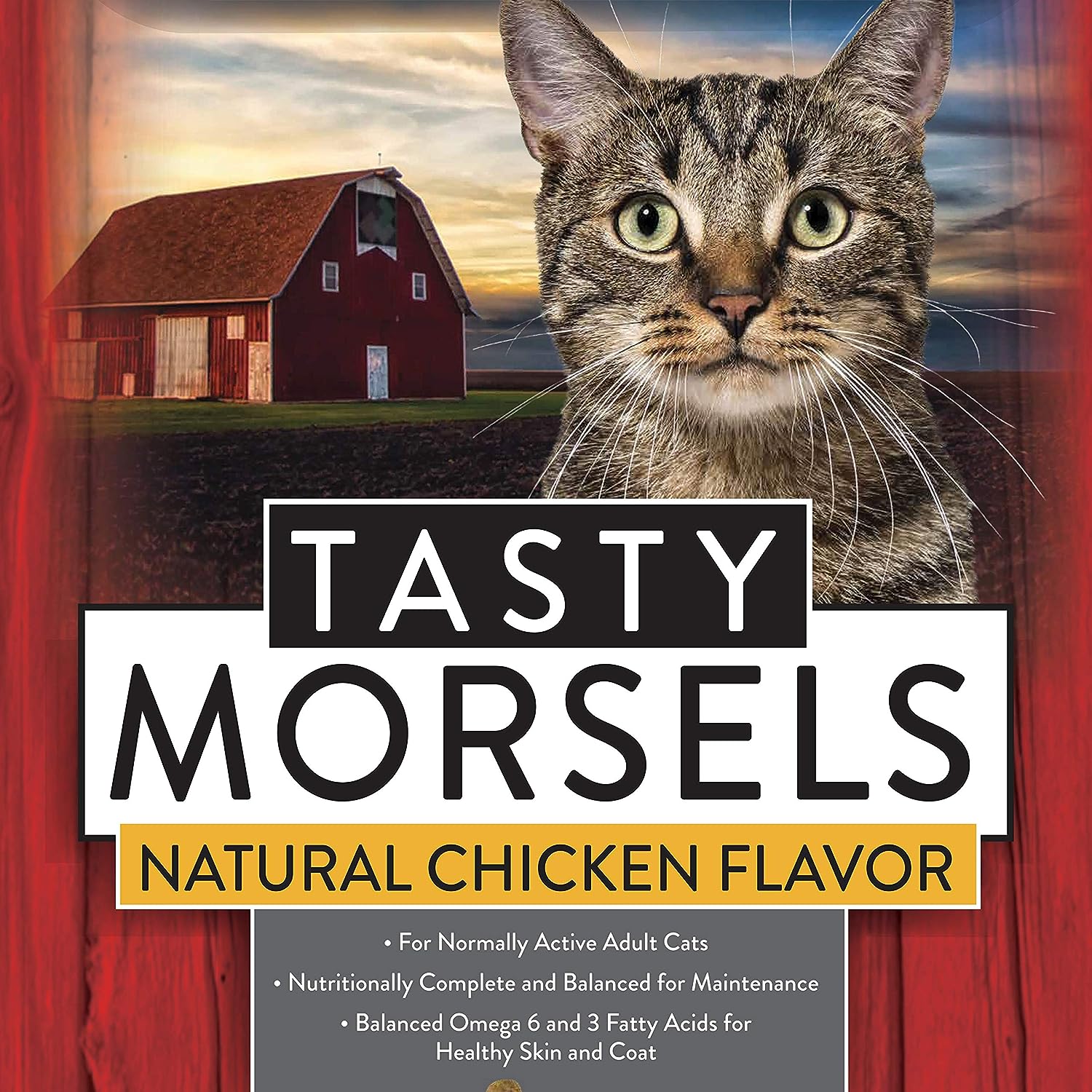 ★激レア コレクション★ウイルソン★FatShaft★3点式バック★レッド★ ☆激レア コレクション☆ウイルソン☆FatShaft☆3点式バック☆レッド☆