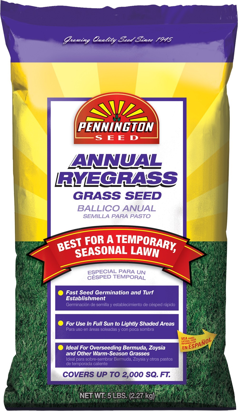 Pennington 22498 7Pound Annual Ryegrass Grass Seed at Sutherlands